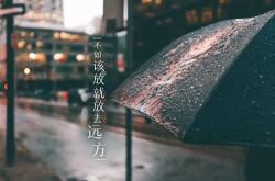 开云体育APP下载-当枫叶遇上郁金香，格列兹曼用一场战术革命改写世界杯剧本