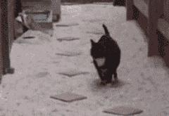 开云体育app-当东方虎啸遇见西方熊吼，多诺万·米切尔的唯一性证明