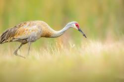 开云体育平台APP-德甲争冠战之夜，梅罗相隔千里的数据爆炸