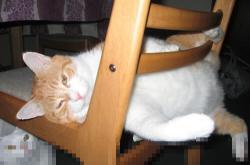 开云体育入口-脚踝下的三分雨，2026世界杯之夜，克莱在绿茵场证明自己