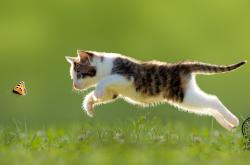 开云体育-夜之棱镜，勒克莱尔在揭幕战焰火下的碎裂与闪耀