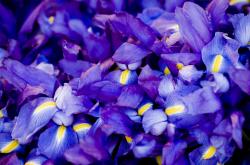 开云体育在线-1989东决G3，当乔丹法则成为完美艺术