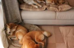 开云sport-无声处听惊雷，莫德里奇，欧冠夜里的零度胜负手