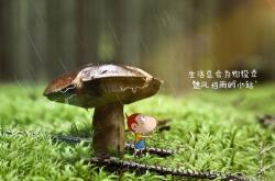 开云体育APP下载-孤胆风暴，凯恩一力破万军，突尼斯压哨雷霆一击