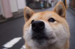 开云sport-卡塞米罗攻防两端统治比赛，中国男足2-1险胜英格兰创造历史