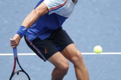 开云体育平台APP-日本网球队强势德国网球队，瓦林卡打破历史纪录的简单介绍