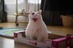 开云体育在线-奥运周期关键战之夜，哈登的关键制胜，在齿轮严丝合缝的宿命里，投出孤注一掷的变量