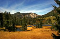 开云体育官网-最孤独的统治力，当浓眉的节奏成为鹈鹕的挽歌