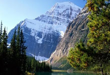 开云体育入口-绿茵场上的星火燎原，戈麦斯烟花点燃葡萄牙对曼城的史诗逆转