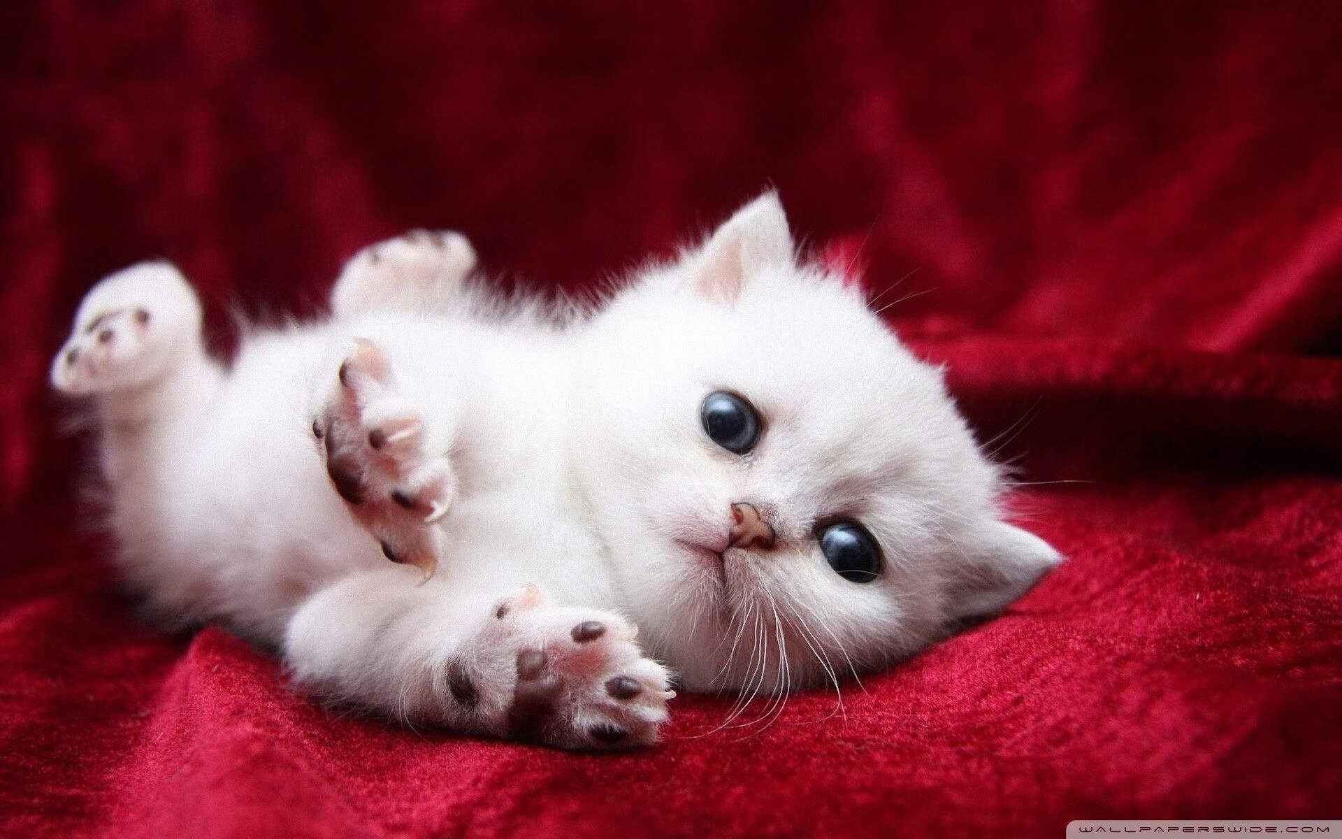 当密尔沃基的雪落在天山,利拉德0.4秒跨洲绝杀