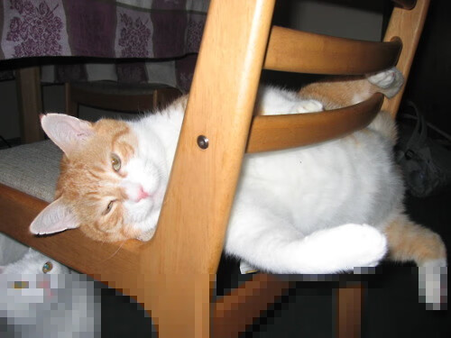 脚踝下的三分雨，2026世界杯之夜，克莱在绿茵场证明自己