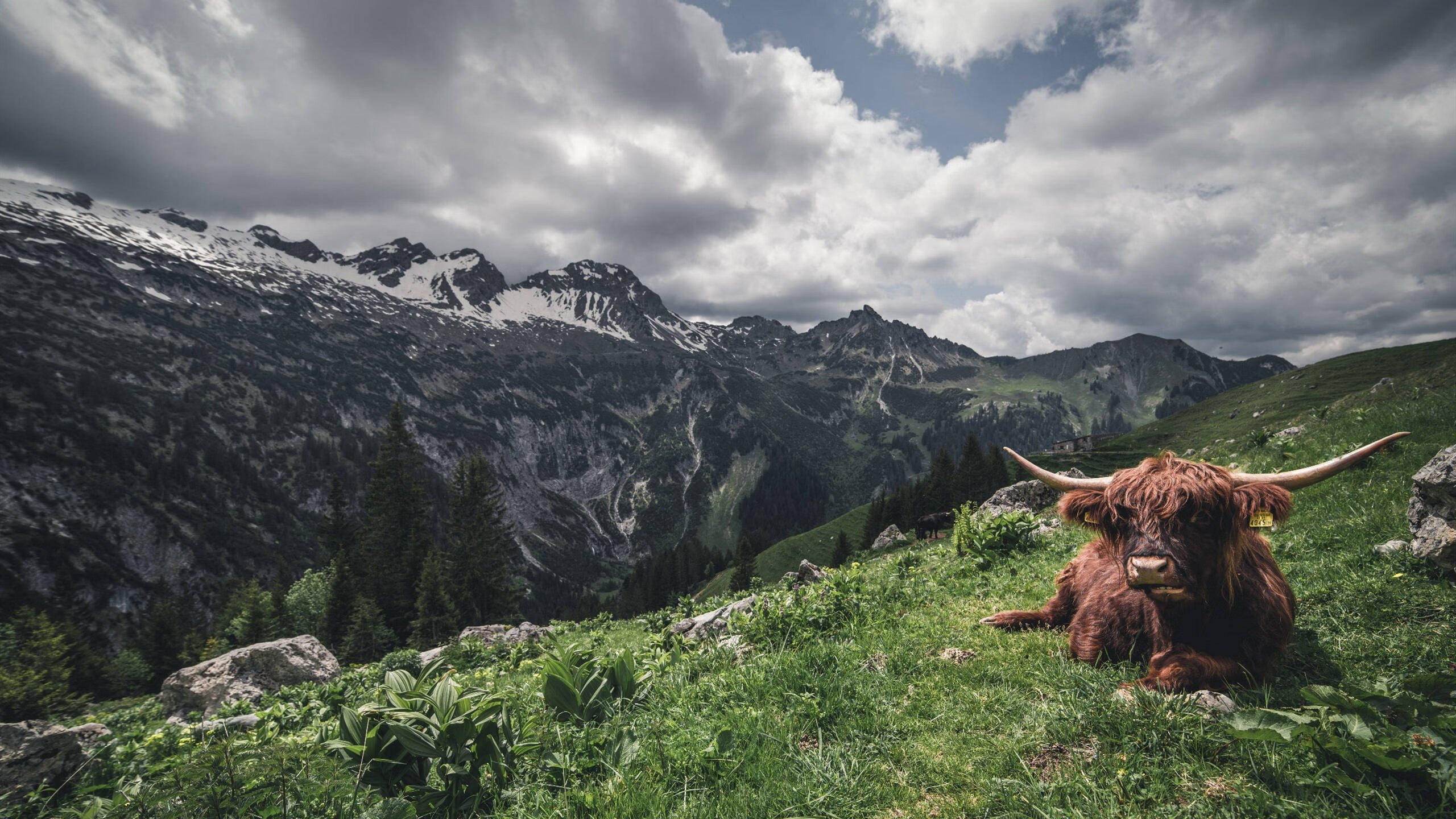 冰冷数据下的炽热利剑,浙江队如何用算法之刃终结活塞王朝