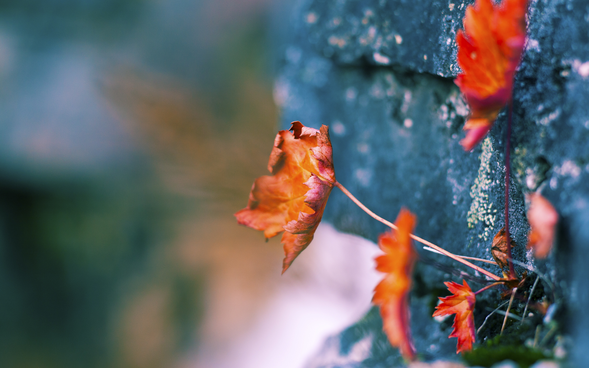 圣徒与龙息,格列兹曼的火焰与威尔士的战术铁幕