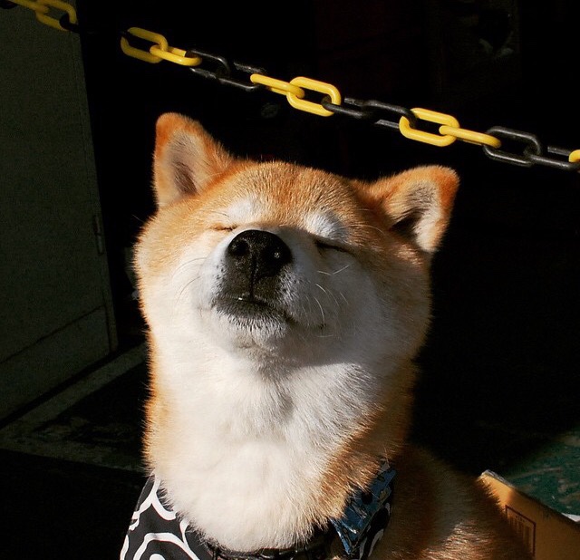 中场齿轮，门迪如何成为爱尔兰扼杀英格兰的战术枢纽