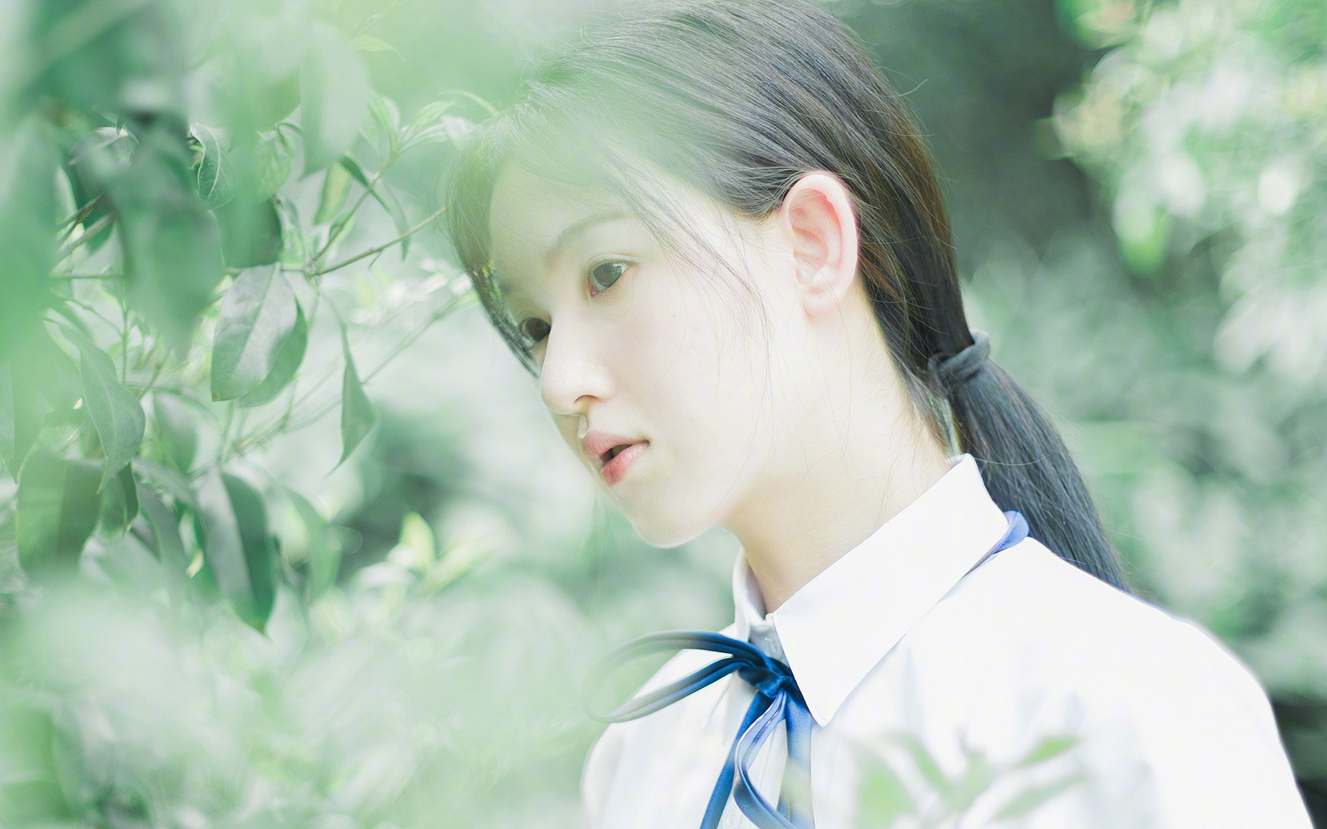 灯火燎原，当佛罗伦萨在补时绝境中唤醒文艺复兴式的胜利—恩佐化身亚诺河畔的关键先生