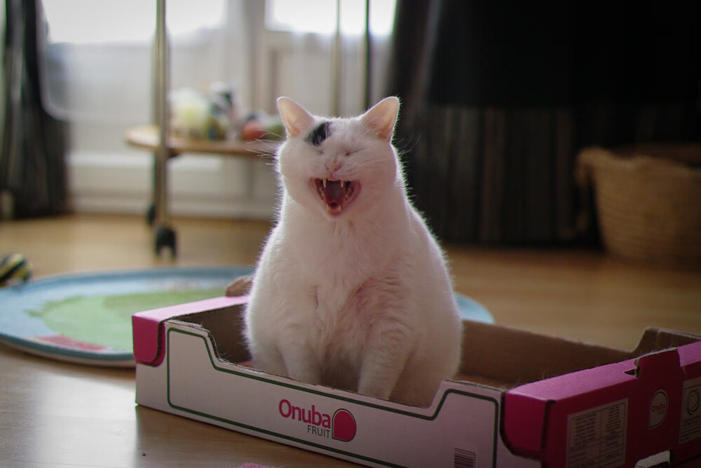 奥运周期关键战之夜，哈登的关键制胜，在齿轮严丝合缝的宿命里，投出孤注一掷的变量