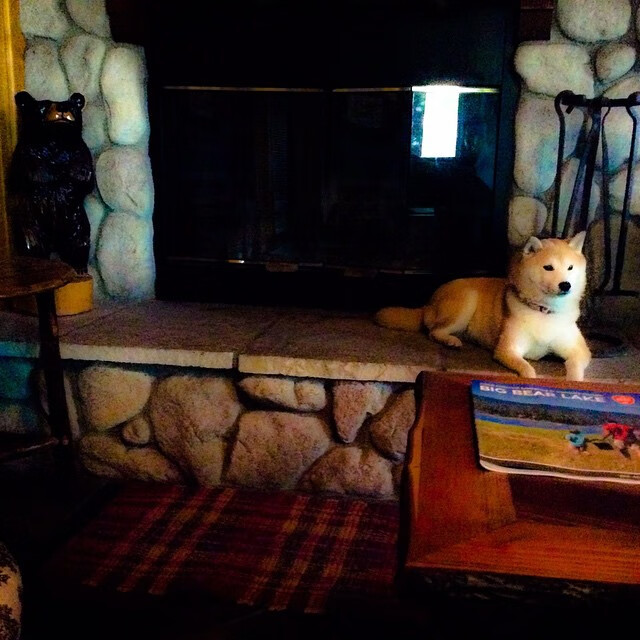 融合的血脉,撕裂的征途,当卡马文加在欧冠之巅回望阿拉伯足球的火焰