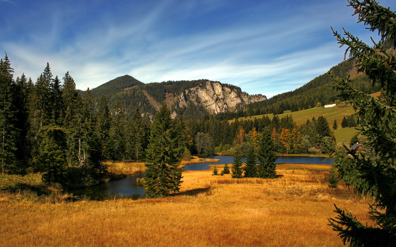最孤独的统治力，当浓眉的节奏成为鹈鹕的挽歌