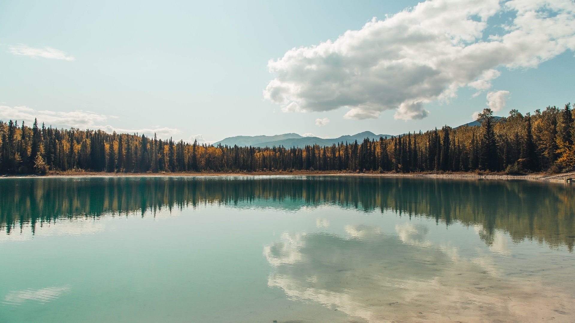 冰封俄城，当塔图姆的瞳孔里映出终场哨