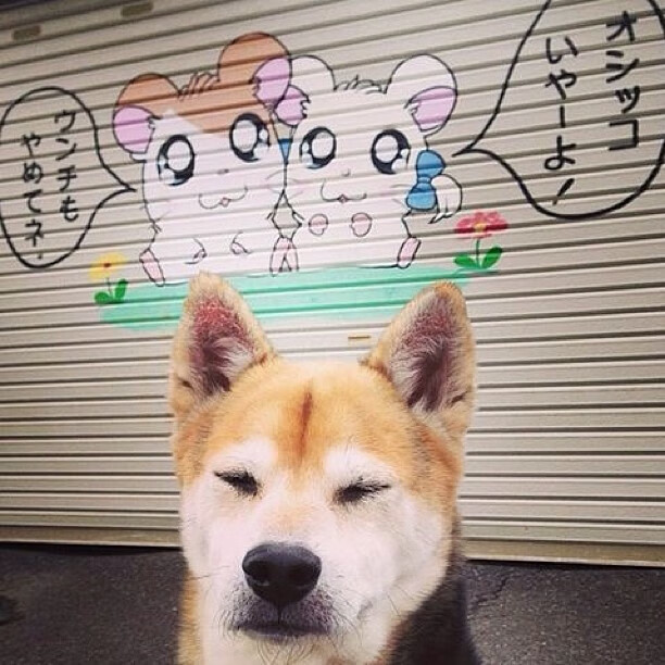 双重克星，当穆勒的阴影笼罩，丹麦童话再次敲响葡萄牙的丧钟