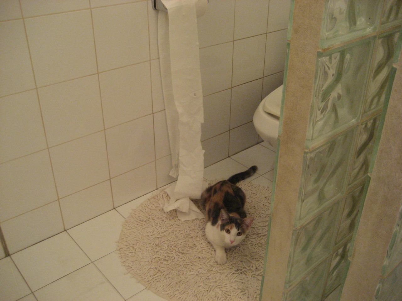 速度的庆典，从F1揭幕战到绿茵闪电，竞技之魂在极限中燃烧