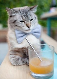 托尼关键一击，那不勒斯客场力克瑞典马尔默，欧冠小组赛占得先机