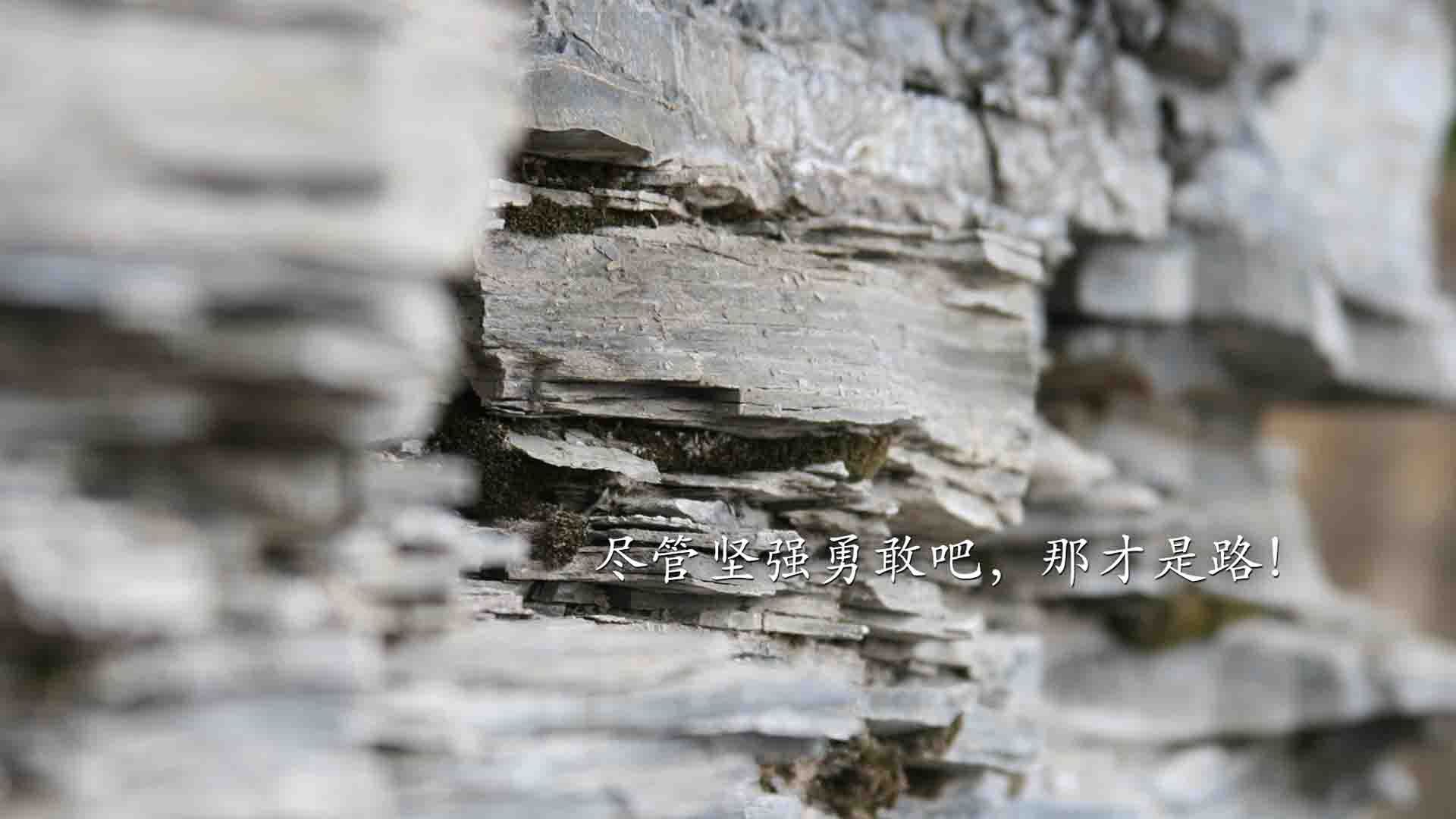 喀山之夜，贝林厄姆的天才独舞与匈牙利击碎德意志铁甲的神话
