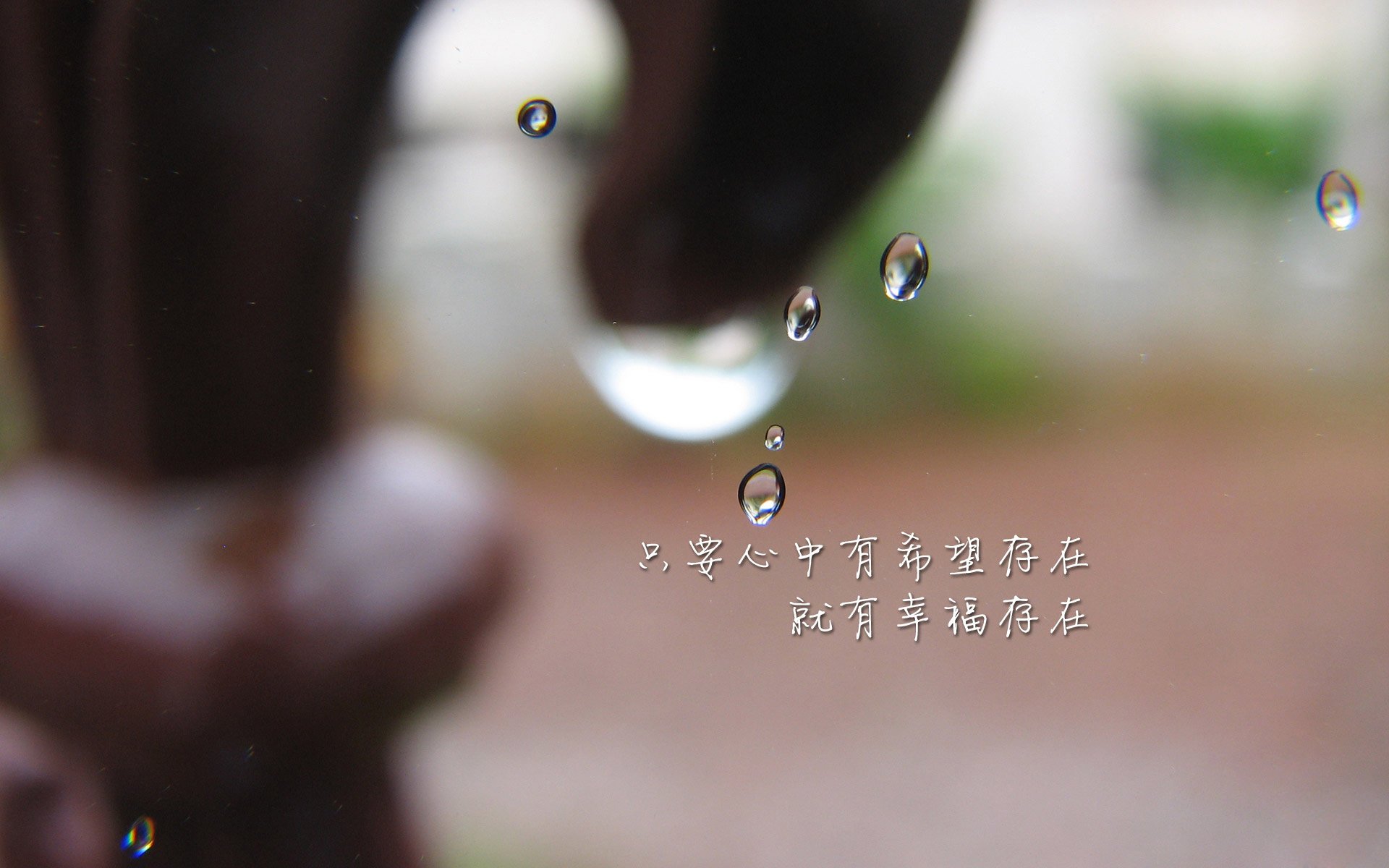 致命反击，当高原之鹰撕碎非洲雄狮，贝林厄姆在2026世界杯B组写下唯一剧本