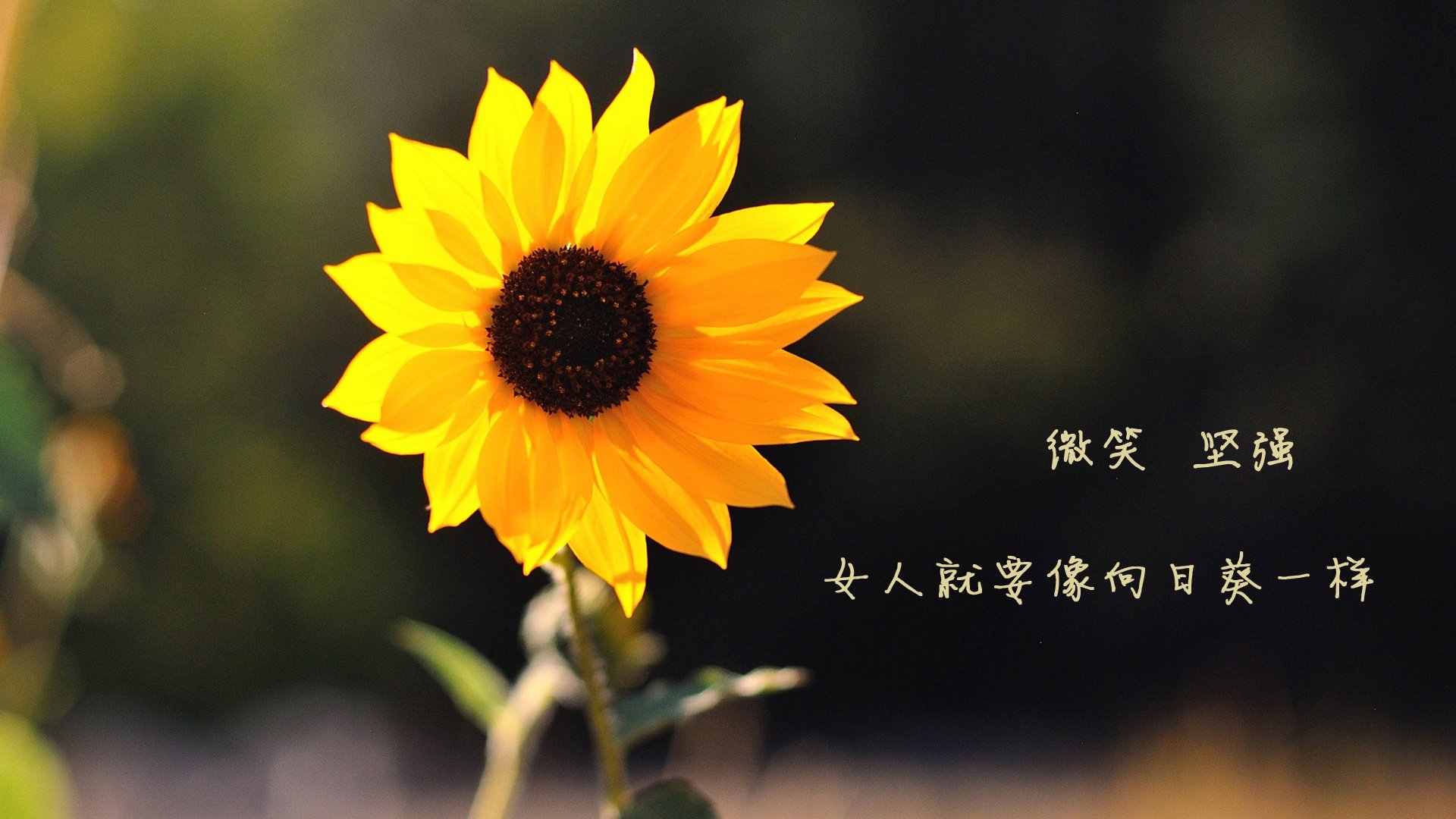 这是一篇为您定制的文章,紧扣唯一性命题,将体育竞技与存在主义哲思相结合。标题与内容均围绕您提供的关键词展开